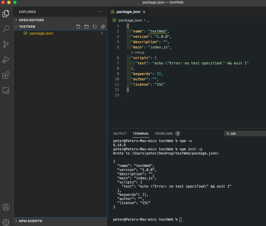 package.json-Datei