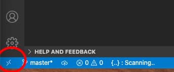 Das Remote Window